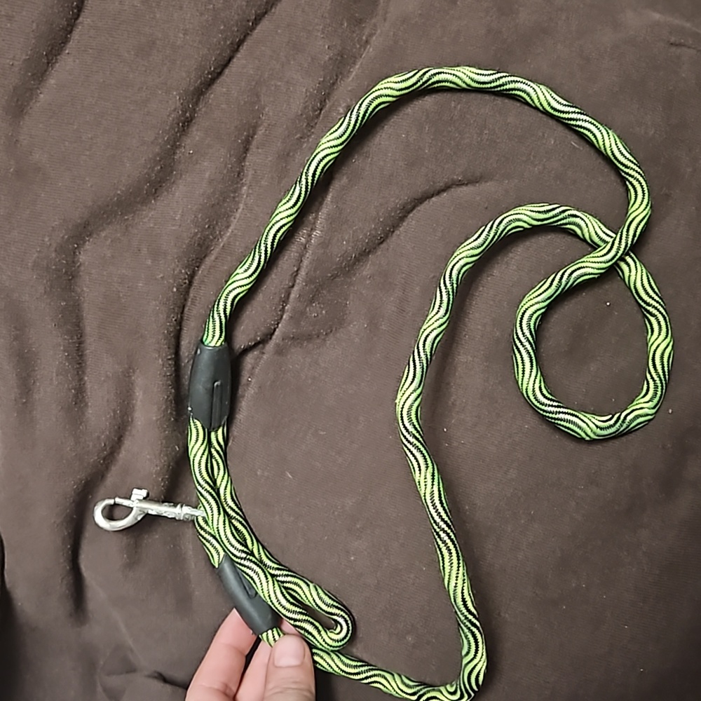 Dog 🐕 leash
